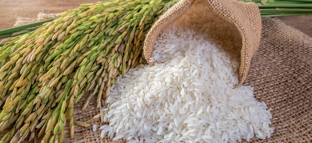 خرید-برنج