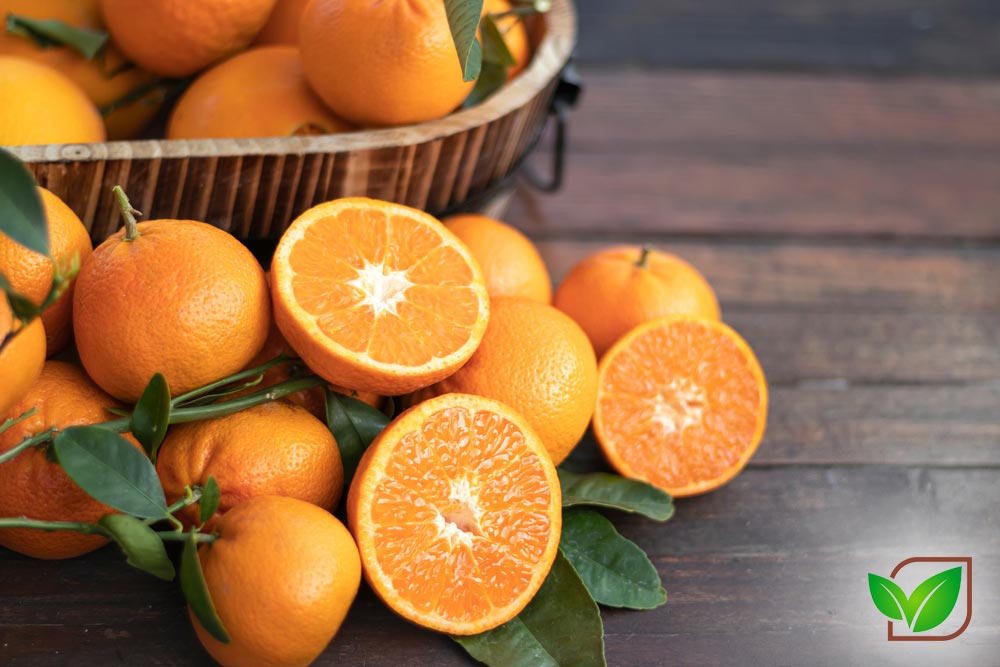 خرید پرتقال ارگانیک تازه و خوشمزه دارای تاییده معتبر ارگانیک